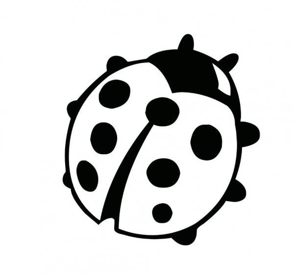 Божья коровка раскраска