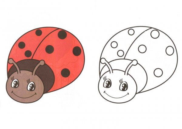 Божья коровка раскраска для детей