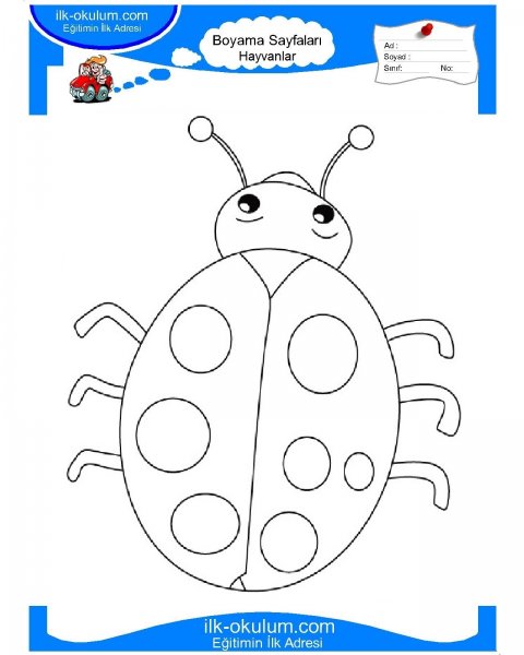 Божья коровка раскраска для малышей