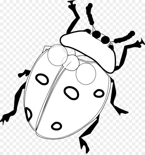 Раскраска Жук Божья коровка