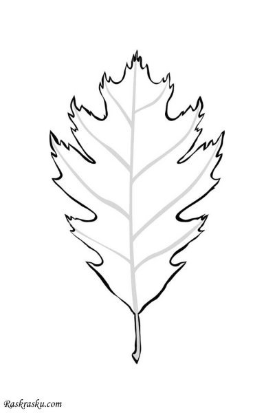 Дубовый лист трафарет