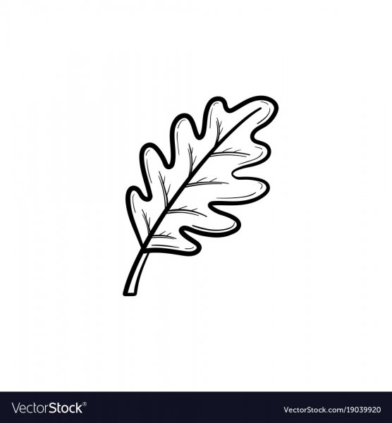 Листья контуры для вырезания