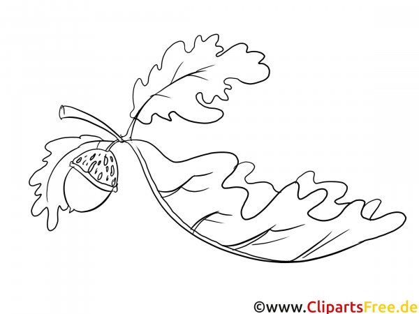 Лист дуба шаблон