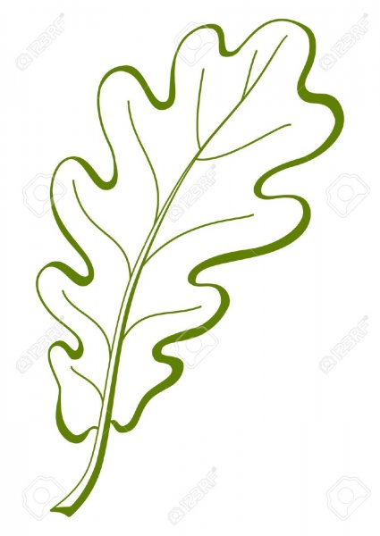 Дубовый лист