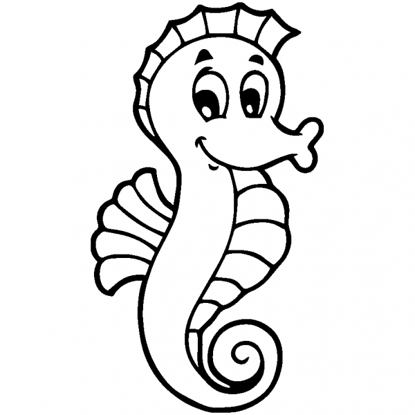 Очертания морского конька