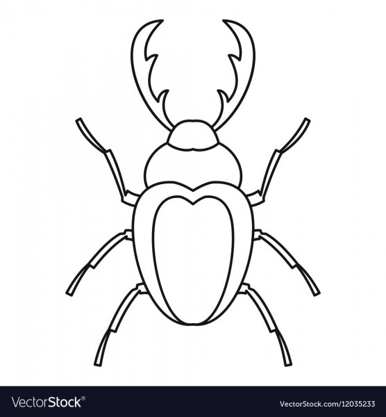 Жук олень трафарет