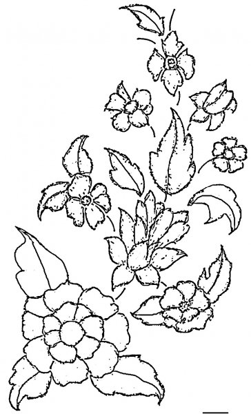 Контуры цветов для вышивки