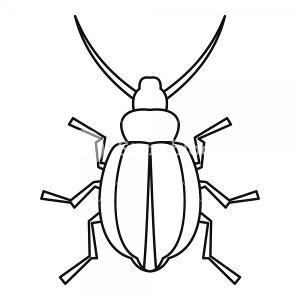 Божья коровка контур