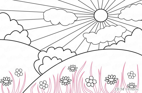 Раскраска природа