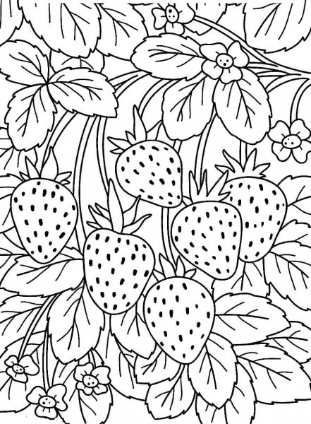 Яга раскраска