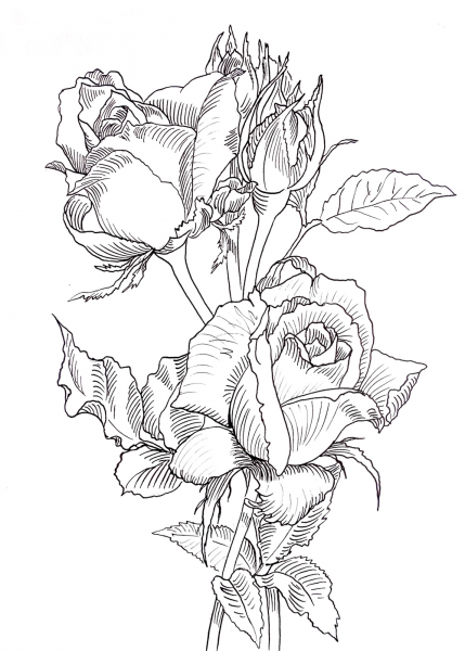 Цветочные композиции для раскрашивания