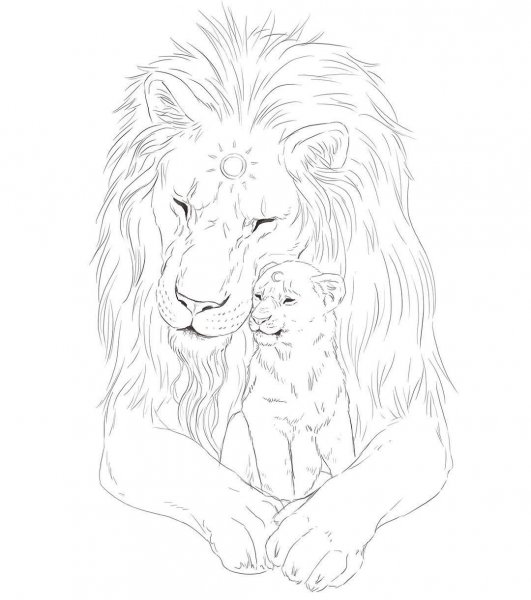Лев львица и Львенок раскраска