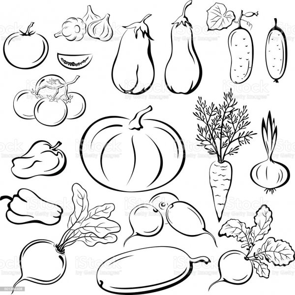Контурное изображение овощей и фруктов