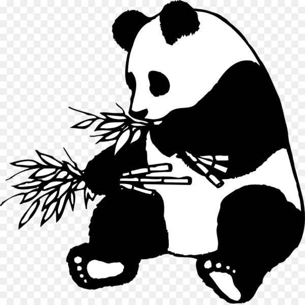 Панда очертания