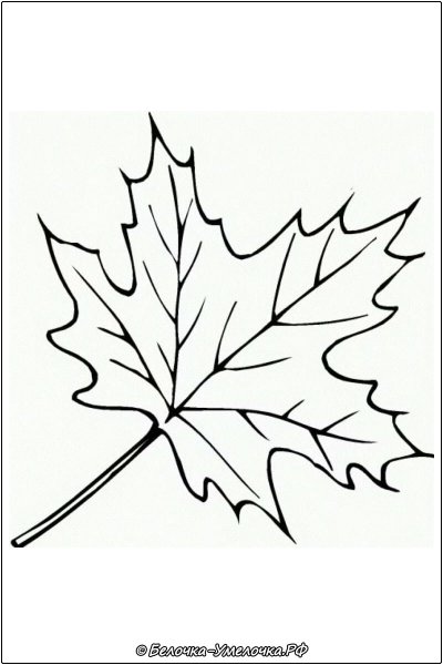 Трафареты осиновых листьев