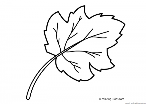 Листья раскраска