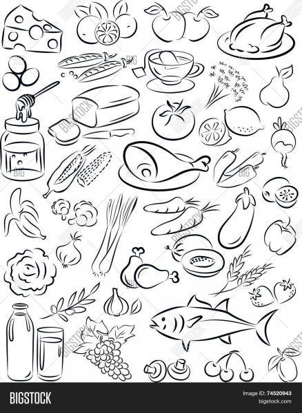 Векторные изображения продуктов