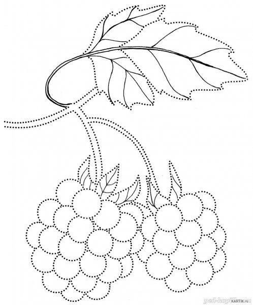 Раскраска ягоды