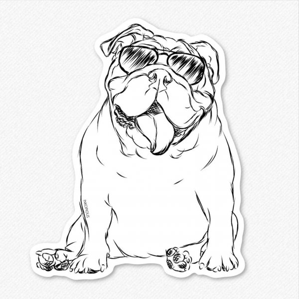 Английский бульдог рисунок