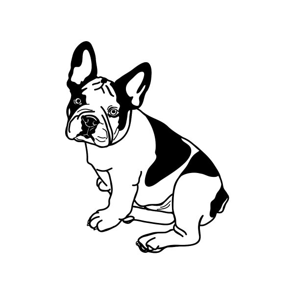 Французский бульдог