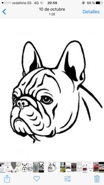 Шаблон французского бульдога