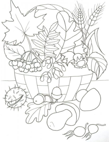 Осениебукет раскраска