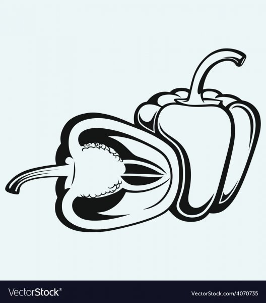 Перец раскраска