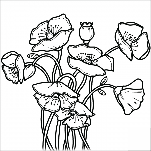 Мак раскраска