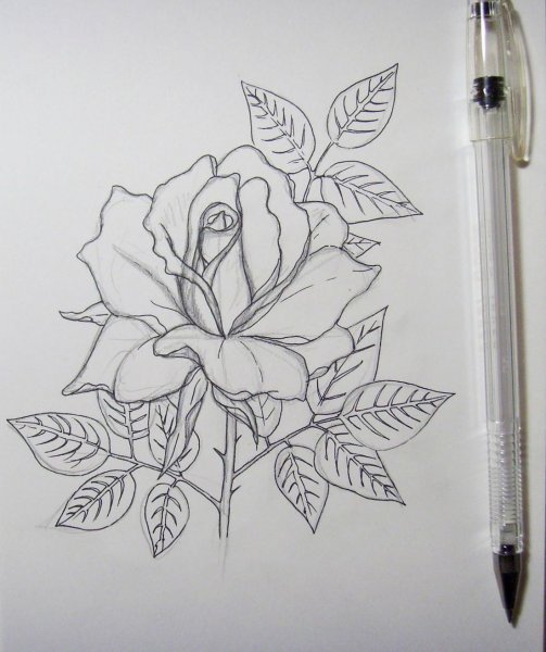 Рисунки гелевыми ручками