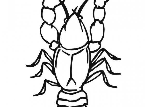 Рачок раскраска для малышей