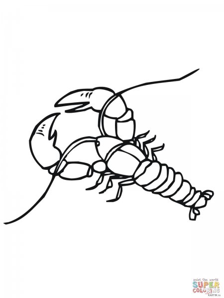 Ра нарисовать карандашом