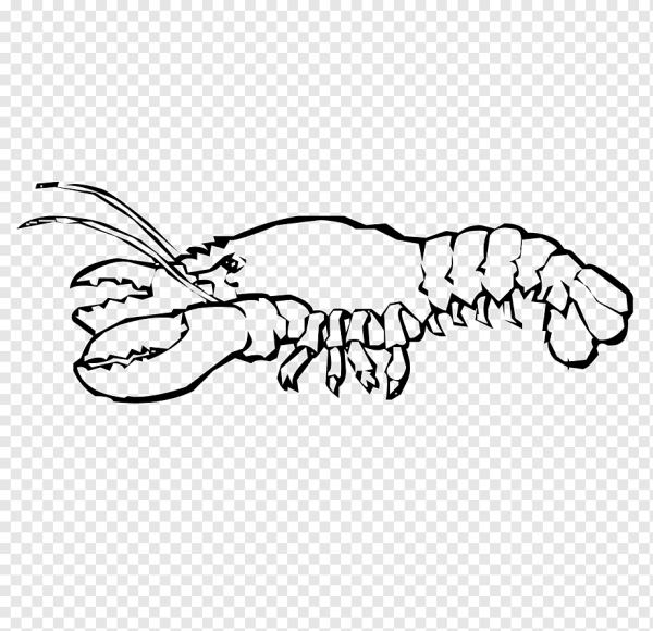 Лангусты раскраска