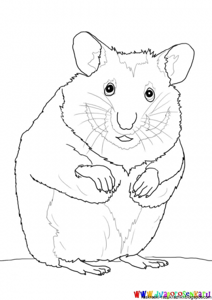 Тайная жизнь домашних животных морская Свинка Норман