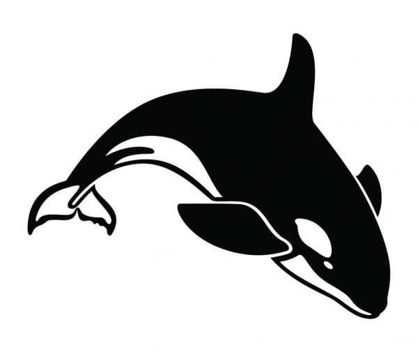 Касатка трафарет