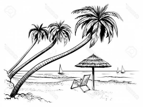 Рисунки карандашом пальмы и море