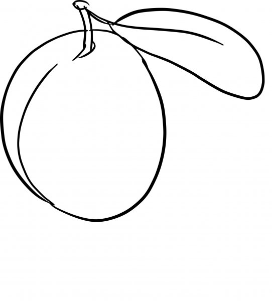 Трафарет сливы