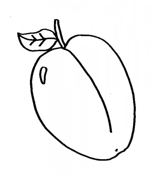 Раскраска фрукты слива