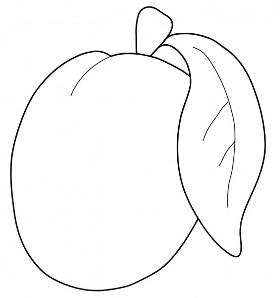 Раскраска фрукты слива