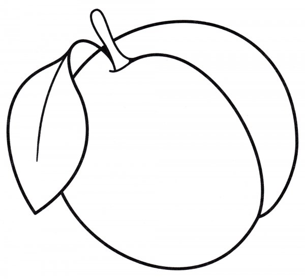 Персик раскраска для малышей