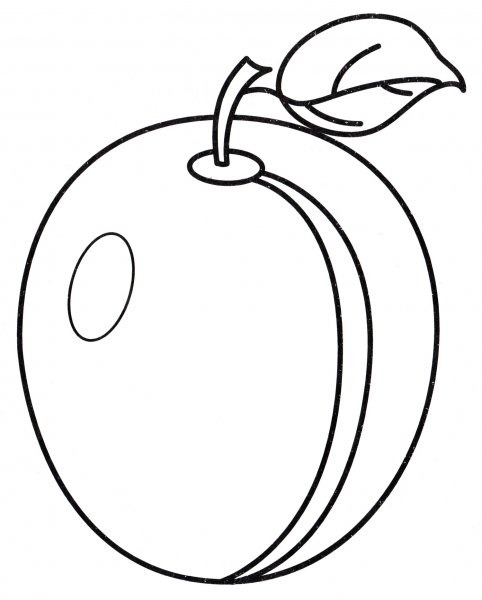 Слива раскраска для малышей