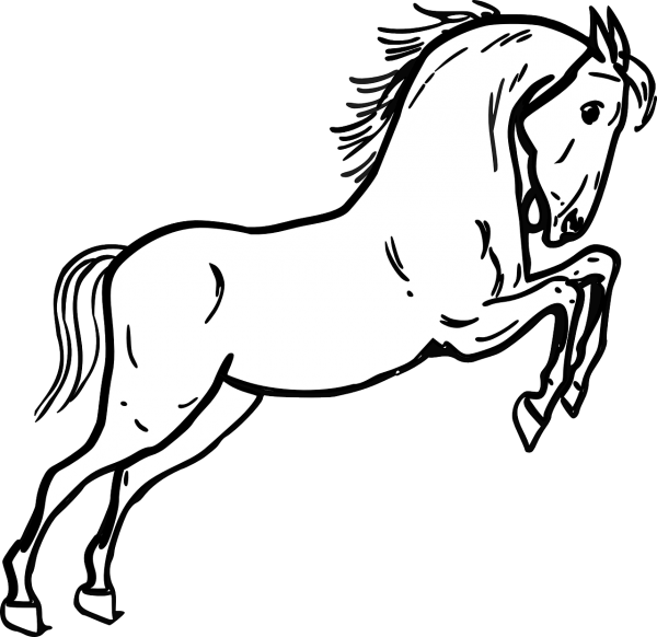 Рисунок лошади для раскрашивания