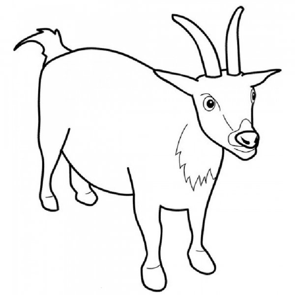 Коза раскраска