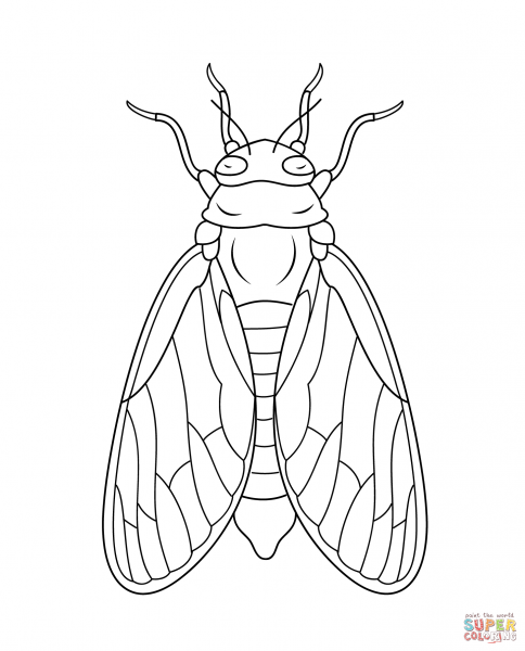 Контур насекомых для детей