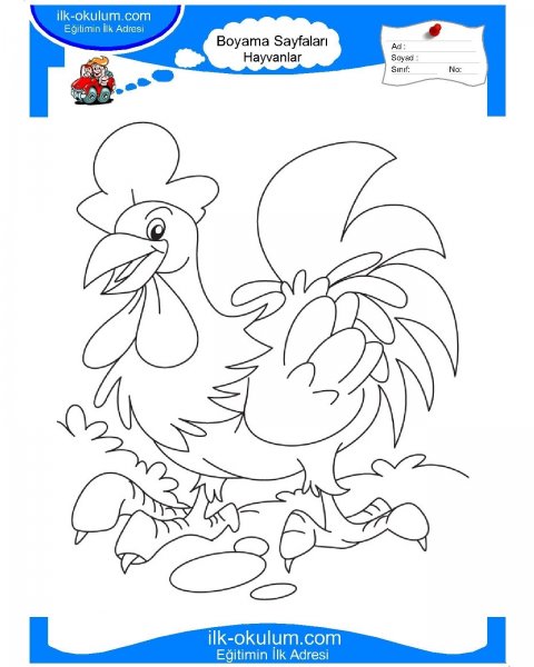 Петух карандашом для детей