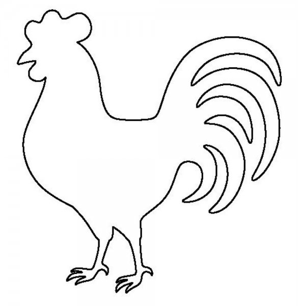 Петух рисунок