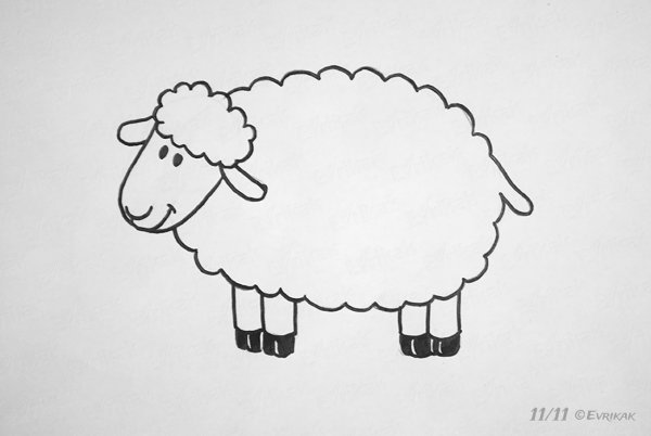 Овечка контур
