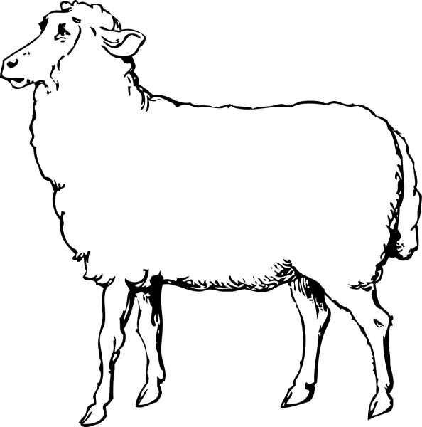 Домашние животные контур