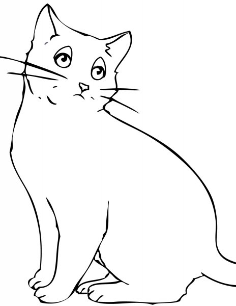 Кошка раскраска для детей