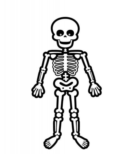 Скелет раскраска для детей