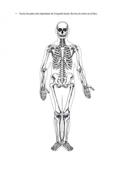 Черный скелетик на белом фоне